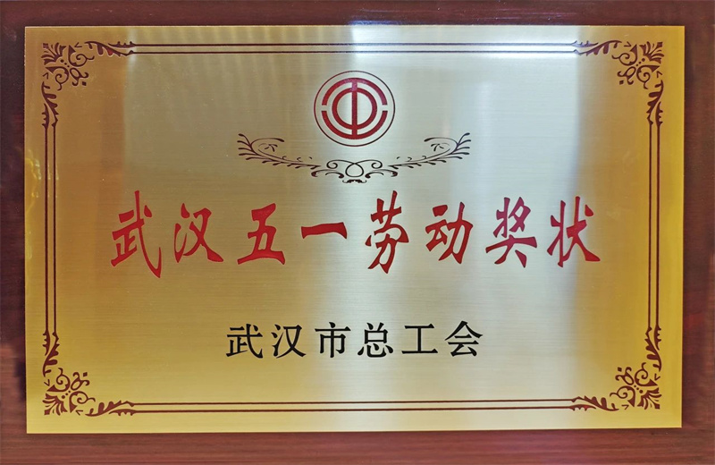 2025年6月，武汉市总工会公布2024年度劳动和技能竞赛获奖名单，z6尊龙凯时六建荣获